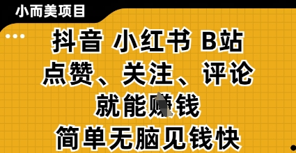 小而美的项目，抖音小红书B站视频点赞、关注、评论就能挣钱，简单无脑立见收益，妥妥的零撸项目【揭秘】-想要创业网