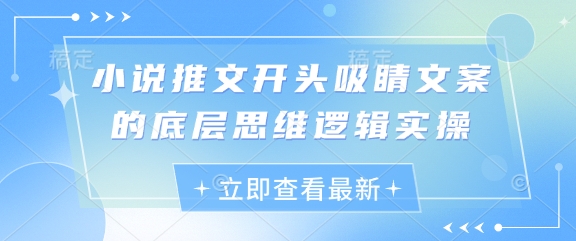 小说推文开头吸睛文案的底层思维逻辑实操-想要创业网