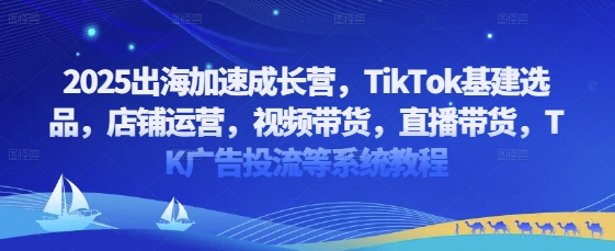 2025出海加速成长营，TikTok基建选品，店铺运营，视频带货，直播带货，TK广告投流等系统教程-想要创业网