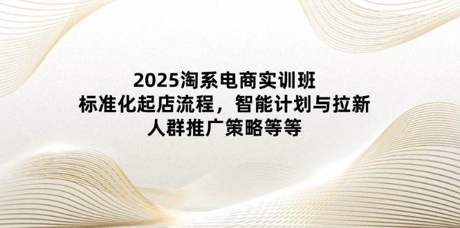 （14522期）2025淘系电商实训班：标准化起店流程，智能计划与拉新，人群推广策略等等-想要创业网