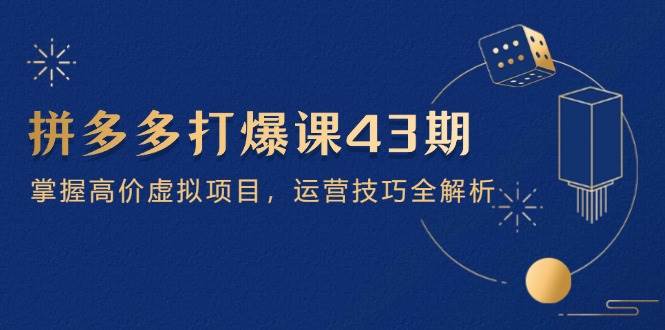 （14546期）拼多多打爆课第 43 期，掌握高价虚拟项目，运营技巧全解析（15节）-想要创业网