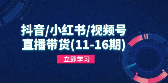 （14611期）抖音/小红书/视频号/直播带货(11-16期)，快速掌握平台规则，打造爆款内容-想要创业网
