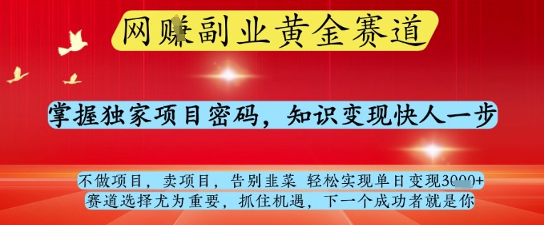 网创副业黄全赛道，掌握独家项目密码，知识变现快人一步，告别韭菜轻松实现单日变现1k+【揭秘】-想要创业网