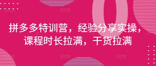 拼多多特训营，经验分享实操，课程时长拉满，干货拉满(更新25年4月)-想要创业网