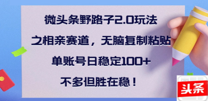 全网首发微头条野路子2.0玩法之相亲赛道，无脑搬砖复制粘贴，单账号日稳定300+保姆级教程-想要创业网