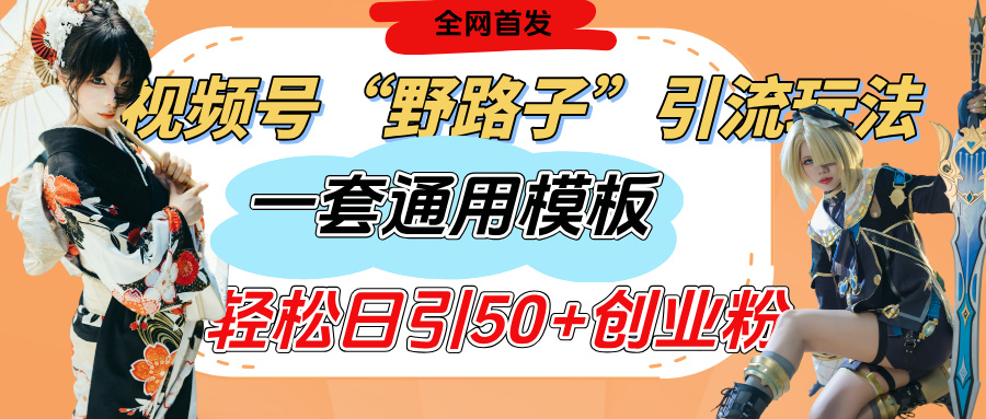 视频号“野路子”玩法，评论区疯狂截流，一套模板单日单号引流50+创业粉-想要创业网