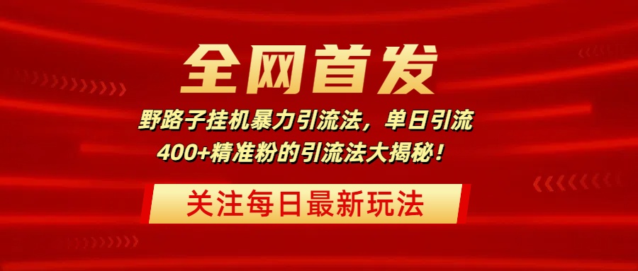 全网首发，野路子挂机暴力引流法，单日引流400+精准粉的引流法大揭秘！-想要创业网