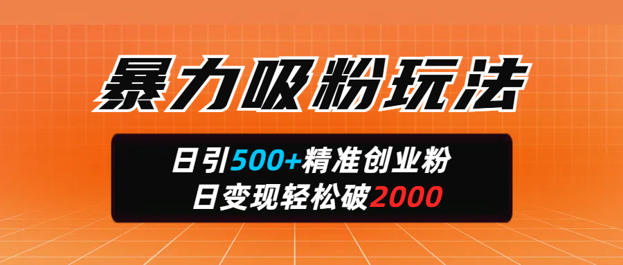 暴力吸粉玩法，日引500+精准创业粉，日变现轻松破2000-想要创业网