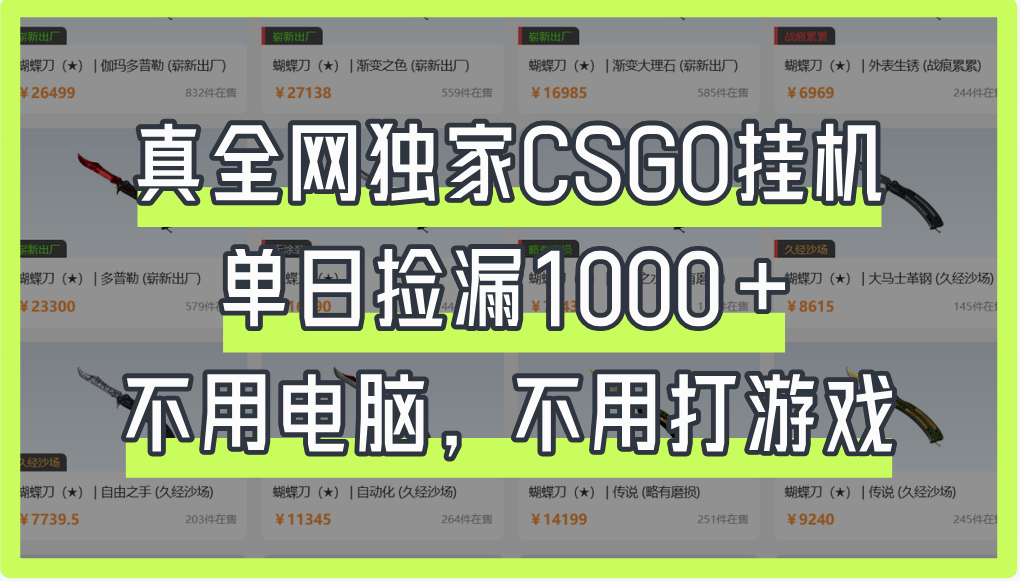 真全网独家CSGO挂机，单日捡漏1000+-想要创业网
