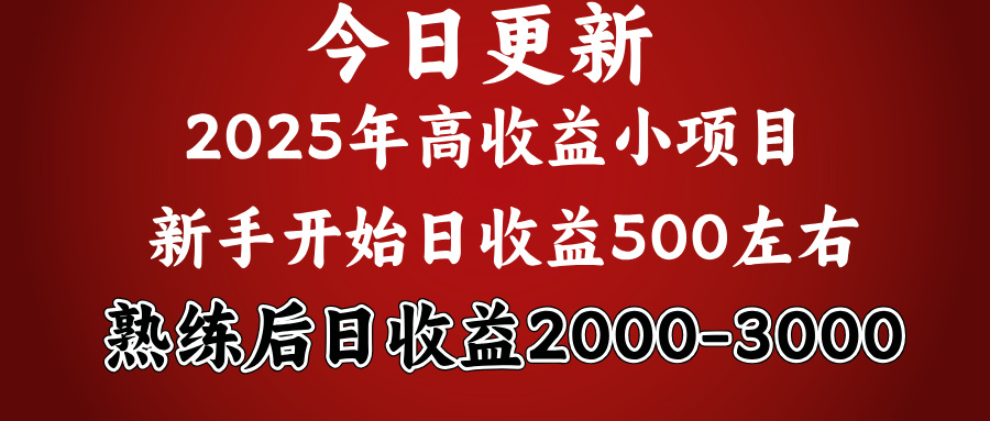 2025开年好项目，新手日收益500+ 熟练掌握后，日收益平均2000多-想要创业网