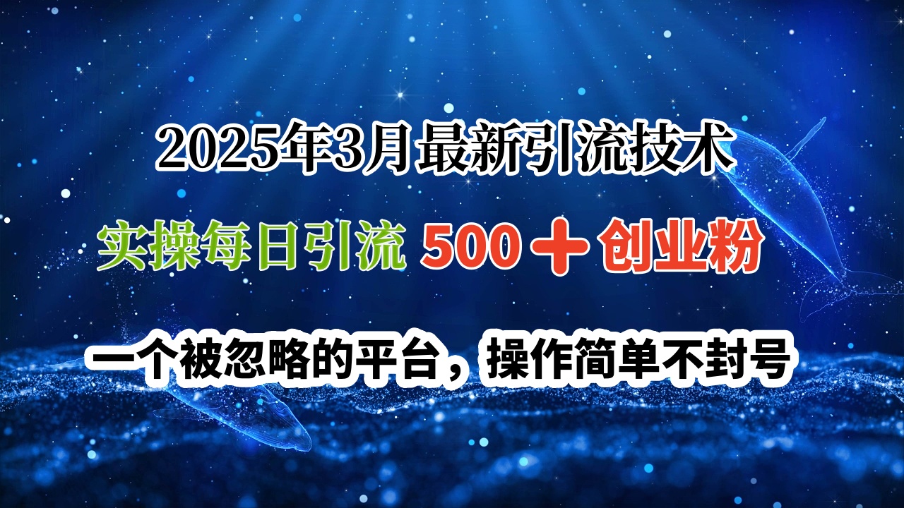 2025年3月最新引流技术，实操每日引流500➕创业粉，一个被忽略的平台，操作简单不封号-想要创业网