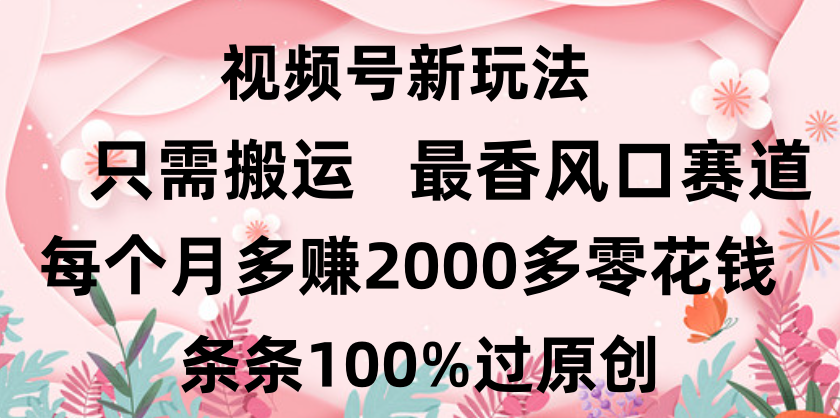 日入2000+，条条100%过原创，视频号最香风口赛道，小白轻松上手-想要创业网