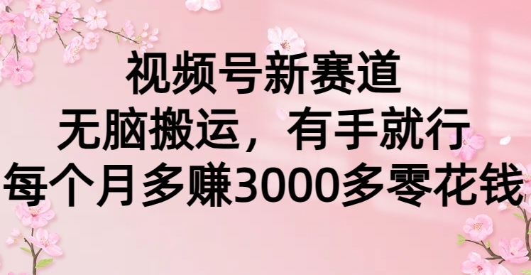 视频号新赛道，无脑搬运，有手就行，每个月多赚3000多零花钱-想要创业网
