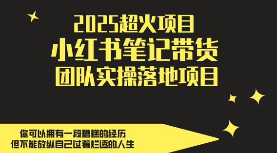 2025超火项目，副业最佳选择，小红书笔记带货团队实操落地项目，，轻松日入5张-想要创业网