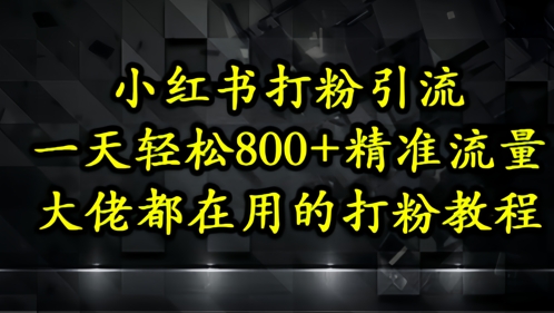 小红书打粉引流，一天轻松500+精准流量，大佬都在用的打粉教程-想要创业网