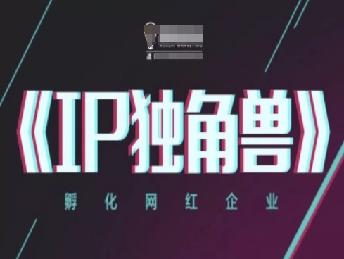 IP独角兽，孵化网红企业，ip教程-想要创业网