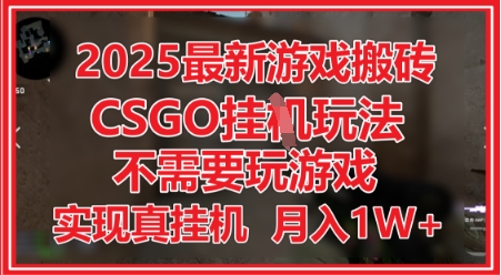 2025最新游戏搬砖，CSGO挂G，不需要玩游戏，实现真挂G，月入1W+【揭秘】-想要创业网