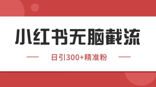 小红书只要你有同行就能获客，独家野路子获客玩法，暴力截流【揭秘】-想要创业网