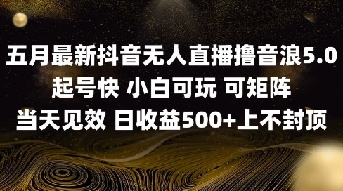 2025五月最新无人直播撸音浪单日产出5张+实操教程【揭秘】-想要创业网