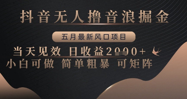 抖音无人撸音浪掘金，五月最新风口项目，当天见效，日收益多张，小白可做简单粗暴可矩阵【揭秘】-想要创业网