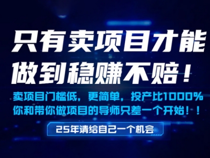 只有卖项目才能做到稳挣不赔，门槛低，更简单，你也可以年入百个W【揭秘】-想要创业网
