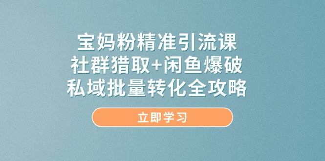 宝妈粉精准引流课，社群猎取+闲鱼爆破，私域批量转化全攻略-想要创业网