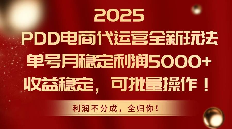 （14839期）2025PDD电商代运营全新玩法，单号月稳定利润5000+，收益稳定，可批量操作-想要创业网