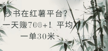抄书在小红薯平台？平均一单30米，一天收益几张！-想要创业网