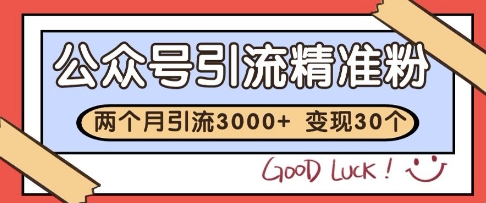 公众号精准粉引流玩法，2个月3000+精准粉，变现30个W【揭秘】-想要创业网