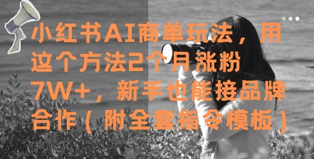 小红书AI商单玩法，用这个方法2个月涨粉7W+，新手也能接品牌合作(附全套指令模板)-想要创业网