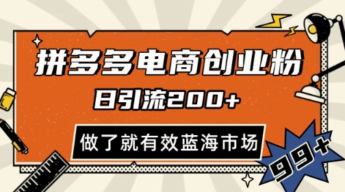 拼多多引流电商创业粉，日引200+，可矩阵放大，做了就有效【揭秘】-想要创业网