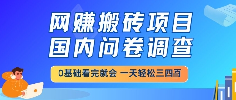 网创搬砖项目，国内问卷调查，小白轻松上手，一天三四张的也不难，干就完了【揭秘】-想要创业网