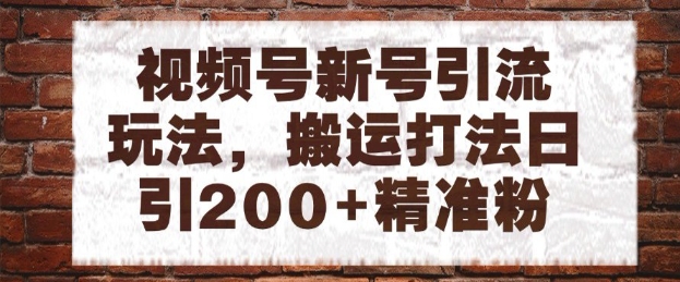 视频号新号引流玩法，搬运打法日引200+精准粉，可矩阵放大【揭秘】-想要创业网