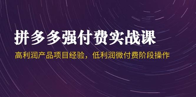 （14874期）拼多多强付费实战课-44期，高利润产品项目经验，低利润微付费阶段操作-想要创业网