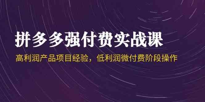 拼多多强付费实战课-44期，高利润产品项目经验，低利润微付费阶段操作-想要创业网