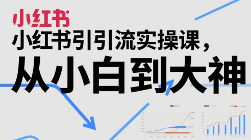 小红书引流实操课，从小白到大神-想要创业网
