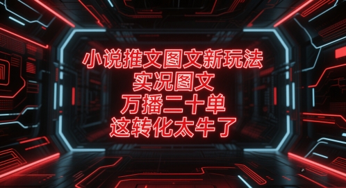小说推文图文新玩法，实况图文，万播二十单，这转化太牛了！-想要创业网
