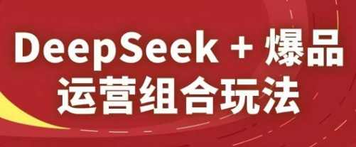 DeepSeek+爆品运营组合玩法，2025淘系精品课-想要创业网