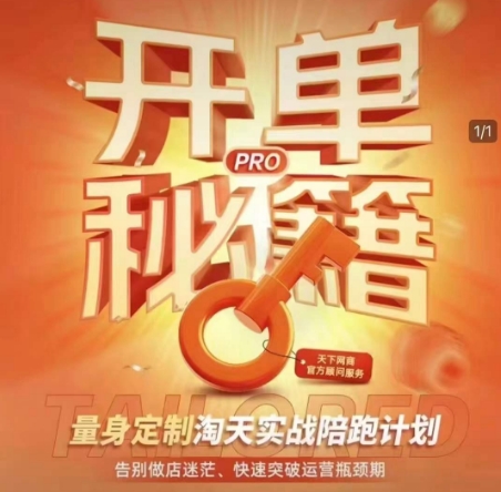 淘宝开单秘籍PRO，量身定制淘天实战陪跑计划，告别做店迷茫、快速突破运营瓶颈期（更新）-想要创业网