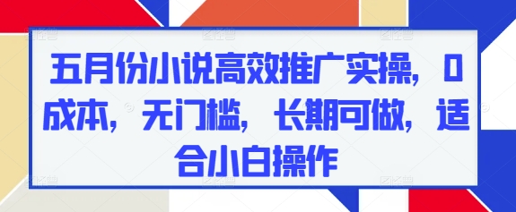 五月份小说高效推广实操，0成本，无门槛，长期可做，适合小白操作-想要创业网