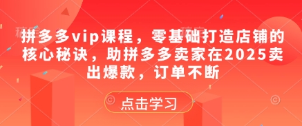 拼多多vip课程，零基础打造店铺的核心秘诀，助拼多多卖家在2025卖出爆款，订单不断-想要创业网