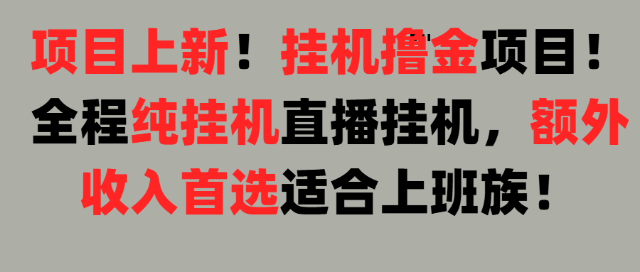 项目上新！挂机撸金项目！全程纯挂机直播挂机，额外收入首选，适合上班族！-想要创业网