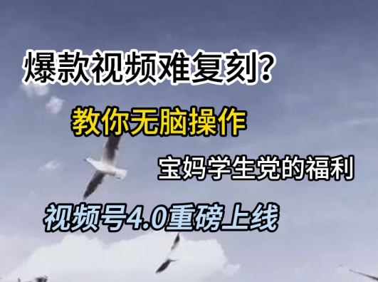 视频号4.0重磅上线，爆款视频难复刻？教你无脑操作宝妈学生党的福利【揭秘】-想要创业网