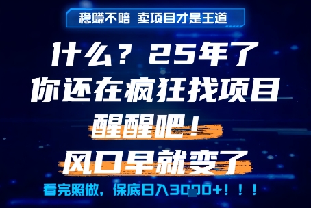 什么？25年你还在疯狂找项目做，醒醒吧，看完这些你全都懂了！【揭秘】-想要创业网