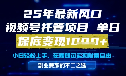 25年最新风口，视频号托管项目，单日保底变现1k+，手把手教学【揭秘】-想要创业网