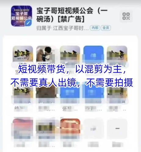 宝子哥头部团队短视频带货，以混剪为主，不需要真人出镜，不需要拍摄【更新6月】-想要创业网