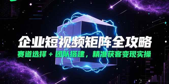 （15242期）企业短视频矩阵全攻略，赛道选择+团队搭建，精准获客变现实操-想要创业网
