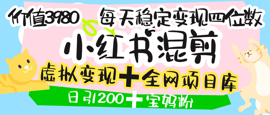 价值3980的小红书混剪， 虚拟变现 ＋全网项目库 ， 日引200+宝妈创业粉，每天稳定四位数变现-想要创业网