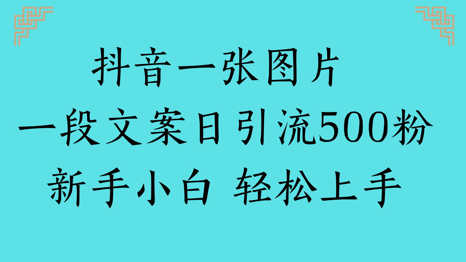 抖音一张图片 一段文案日引流500粉新手小白 轻松上手-想要创业网