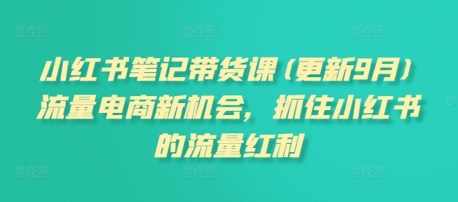 小红书笔记带货课(更新25年6月)流量电商新机会，抓住小红书的流量红利-想要创业网